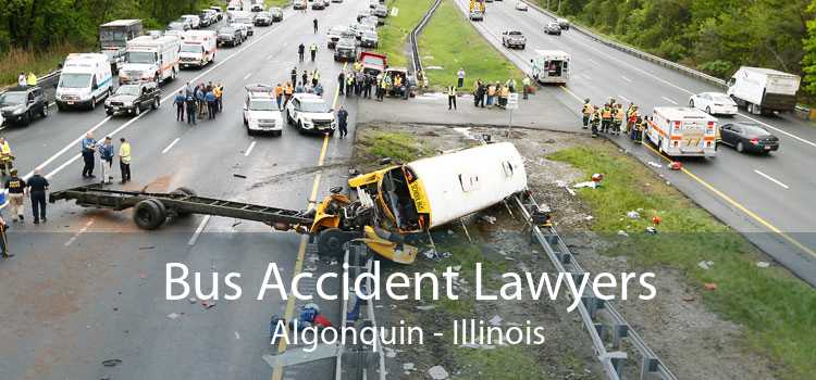 Bus Accident Lawyers Algonquin - Illinois