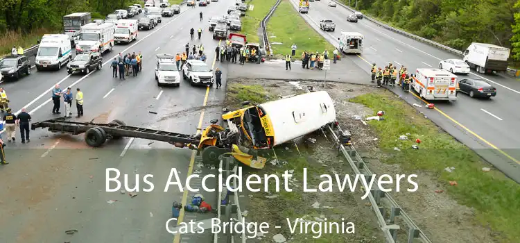 Bus Accident Lawyers Cats Bridge - Virginia