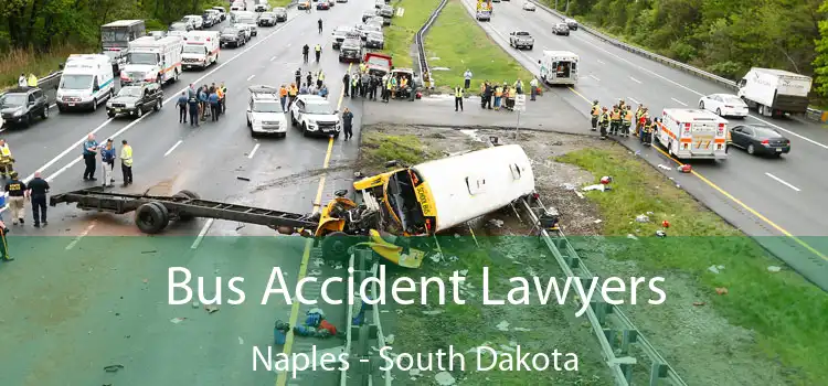 Bus Accident Lawyers Naples - South Dakota