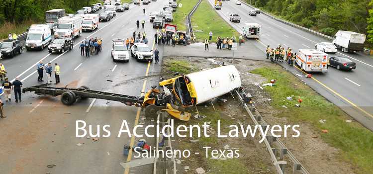 Bus Accident Lawyers Salineno - Texas