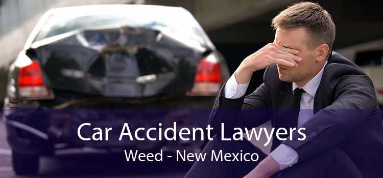Car Accident Lawyers Weed - New Mexico