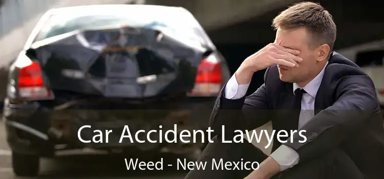Car Accident Lawyers Weed - New Mexico